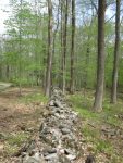 Stone wall at property line